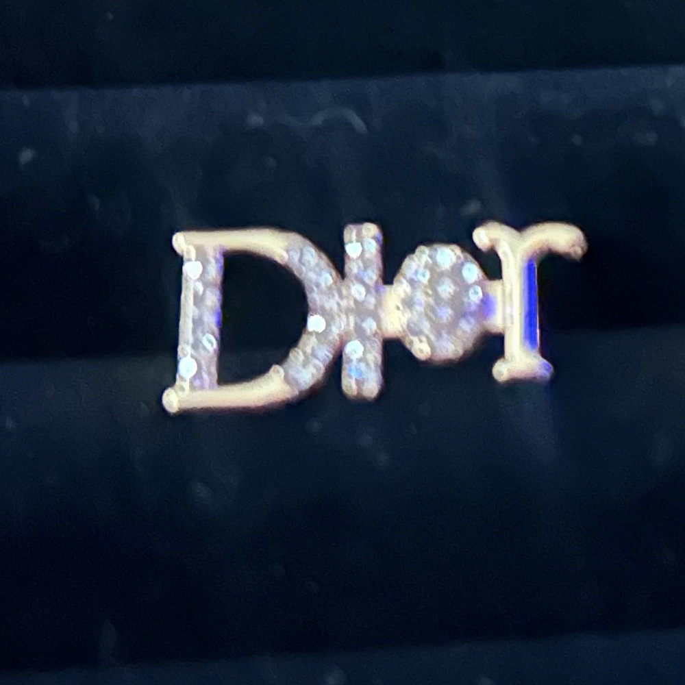 Dior Logo Stud Earrings - Picture 3 of 3